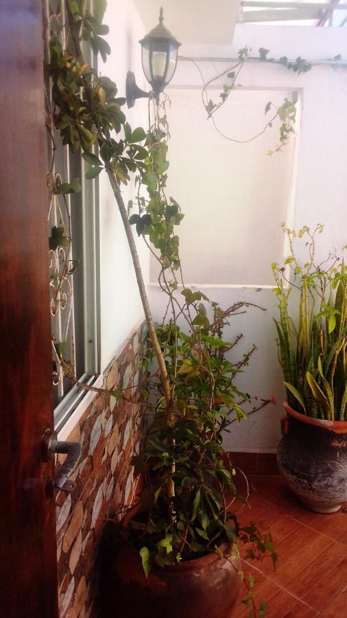 Studio Amine Avec Une Terasse Privee Rabat Zewnętrze zdjęcie